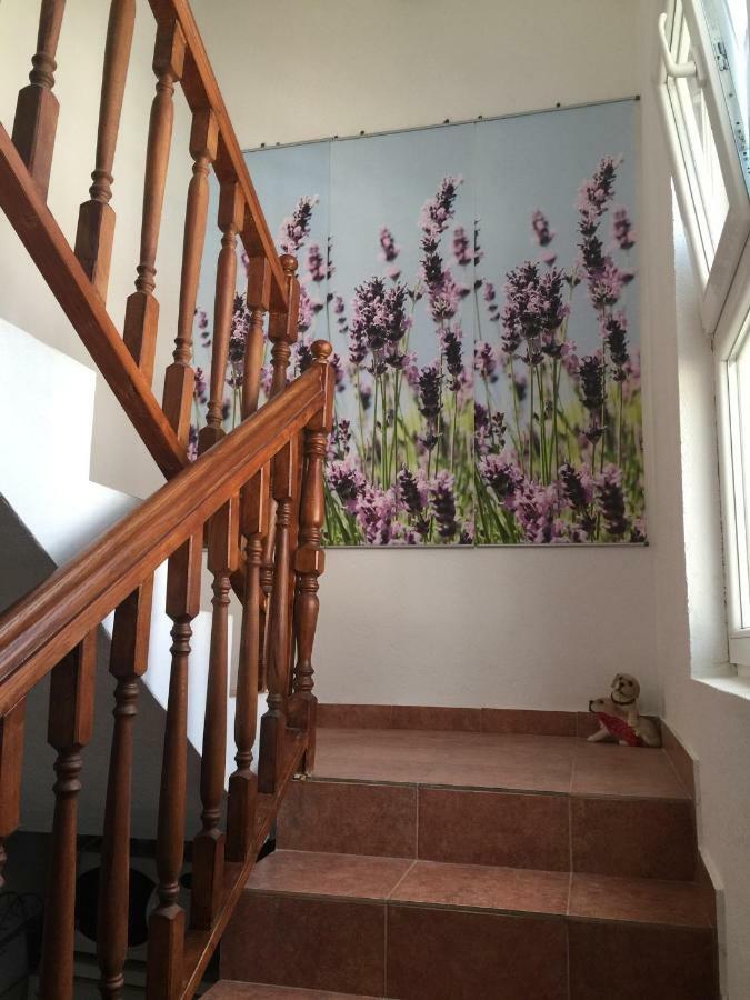Apartments Villa Dolmar Vodice Buitenkant foto